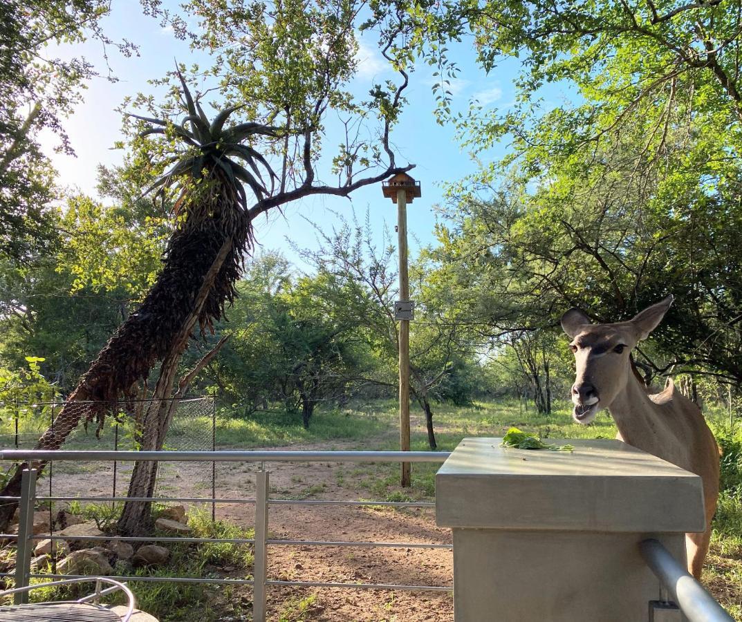 Villa Kruger'S Keep - Luxury Couples Haven Marloth Park Exterior foto